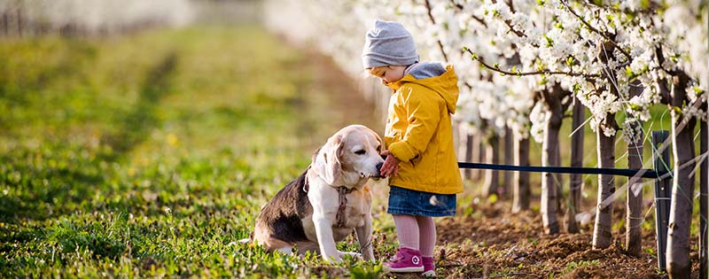 Veterinary Care in Johnson City TN - Mountain Empire Small Animal